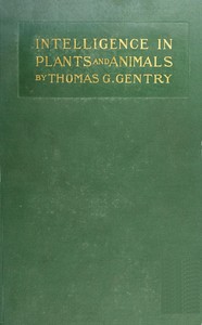 Cover of Intelligence in Plants and Animals Being a New Edition of the Author's Privately Issued "Soul and Immortality."