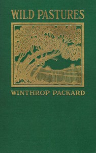 Cover of Wild Pastures
