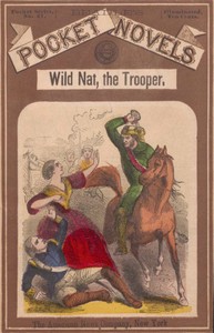 Cover of Wild Nat, the Trooper; or, The Cedar Swamp Brigade