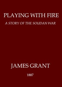 Cover of Playing with Fire: A Story of the Soudan War