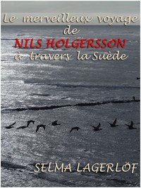 Cover of Le Merveilleux voyage de Nils Holgersson à travers la Suède