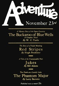 Cover of The Buckaroo of Blue Wells