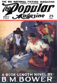 Cover of The Adam Chaser
