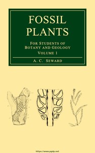 Cover of Fossil plants, Vol. 1 : $b [A text-book] for students of botany and geology