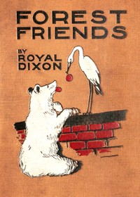 Cover of Forest Friends
