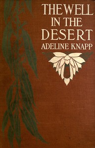 Cover of The well in the desert
