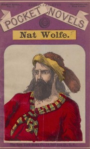 Cover of Nat Wolfe; or, The gold hunters: A romance of Pike's Peak and New York