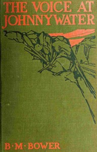Cover of The voice at Johnnywater