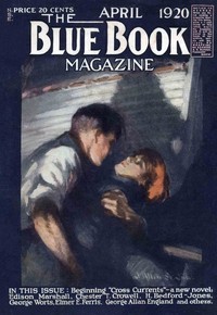 Cover of The hollow lens