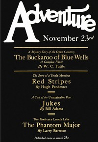 Cover of Red stripes