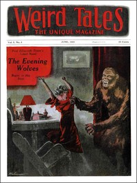 Cover of The voice in the fog
