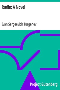 Cover of Rudin: A Novel