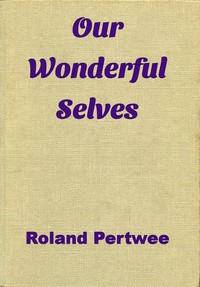 Cover of Our Wonderful Selves