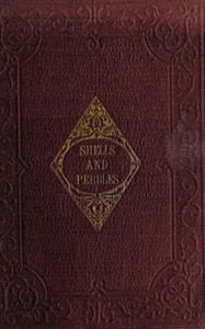 Cover of Shells and pebbles: A story for children