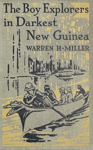 Cover of The boy explorers in darkest New Guinea