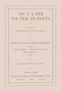Cover of On a lark to the planets A sequel to "The wonderful electric elephant"