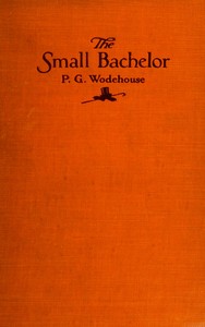 Cover of The small bachelor