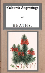 Cover of Coloured engravings of heaths; vol. 2