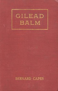 Cover of Gilead Balm, knight errant : $b His adventures in search of the truth