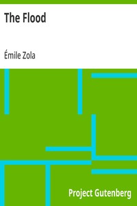 Cover of The Flood