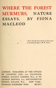 Cover of Where the forest murmurs : $b Nature essays