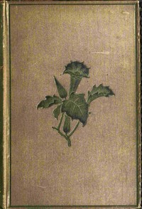 Cover of Torwood's trust : $b A novel (Vol. 1 of 3)