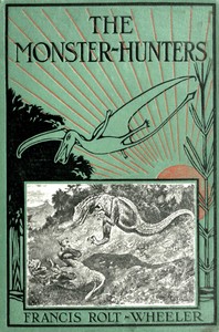 Cover of The monster-hunters