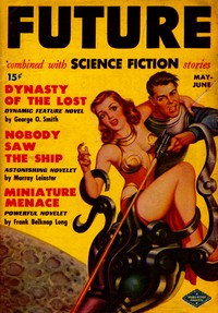 Cover of Nobody saw the ship