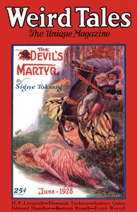 Cover of The lurking fear