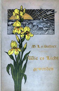 Cover of Wie es Licht geworden! : $b Roman