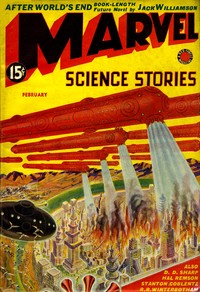 Cover of After world's end