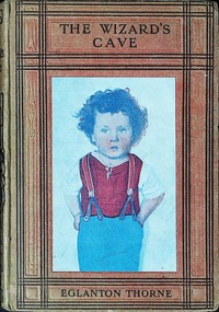 Cover of The wizard's cave