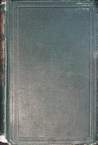 Cover of The new buggy