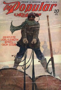 Cover of The last crash