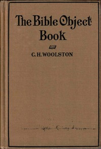 Cover of The Bible object book : $b A book of object lessons which are different, written in plain English and in common words
