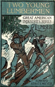 Cover of Two young lumbermen : $b or, From Maine to Oregon for fortune