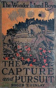Cover of The Wonder Island boys : $b capture and pursuit