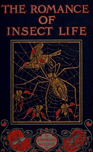 Cover of The romance of insect life : $b Interesting descriptions of the strange and curious in the insect world