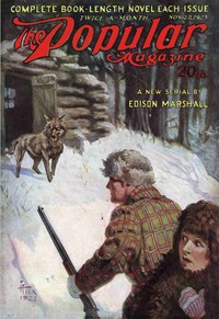 Cover of The lost charm