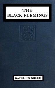 Cover of The black Flemings