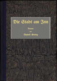 Cover of Die Stadt am Inn : $b Roman