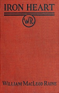 Cover of Ironheart