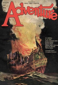 Cover of Hidden guns