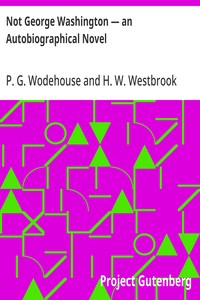 Cover of Not George Washington — an Autobiographical Novel