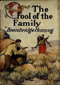 Cover of The fool of the family