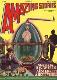 Cover of A voice from the inner world