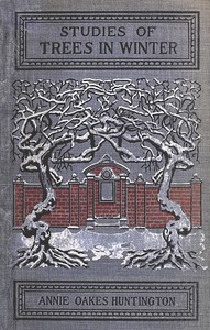 Cover of Studies of trees in winter : $b A description of the deciduous trees of northeastern America