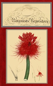Cover of The botanist's repository for new and rare plants; vol. 05 [of 10]