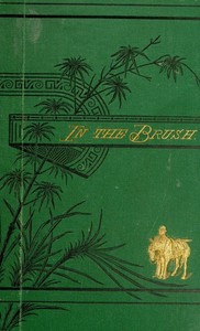 Cover of In the brush : $b or, Old-time social, political, and religious life in the southwest