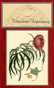 Cover of The botanist's repository for new and rare plants; vol. 08 [of 10]